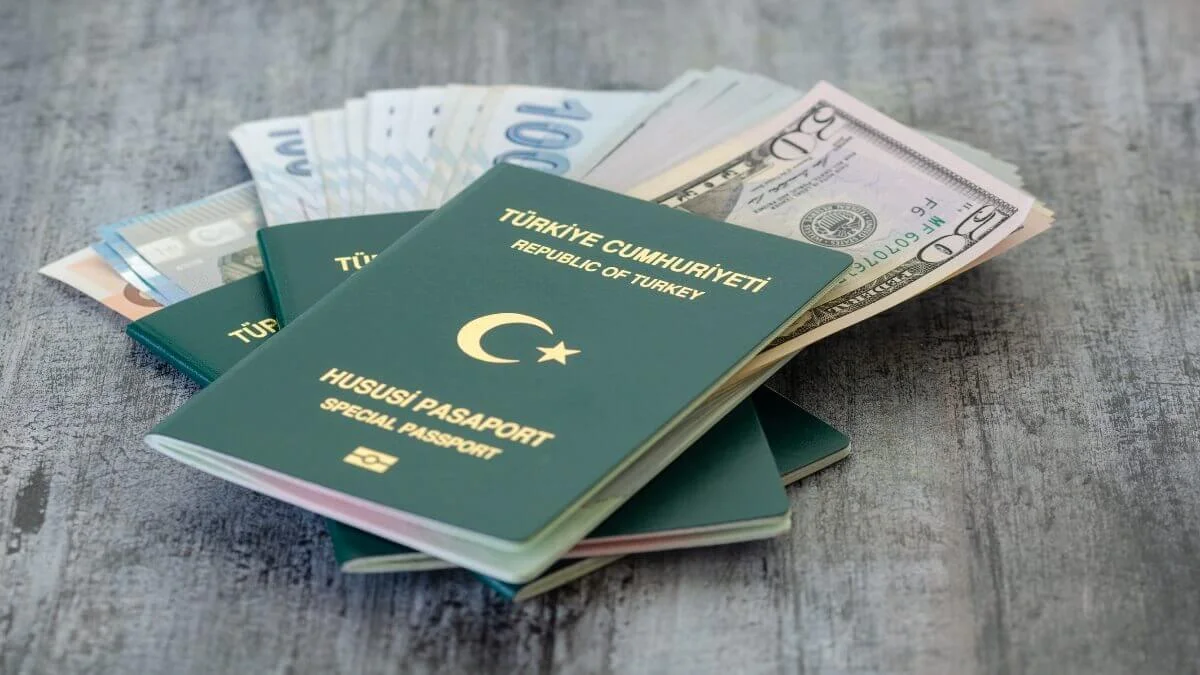 Proving Financial Capability in a Visa Application